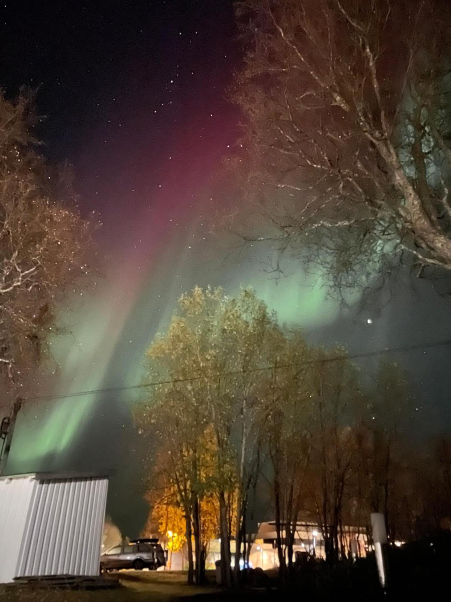 Sentral Og Romslig Leilighet Naert Senja Finnsnes Esterno foto
